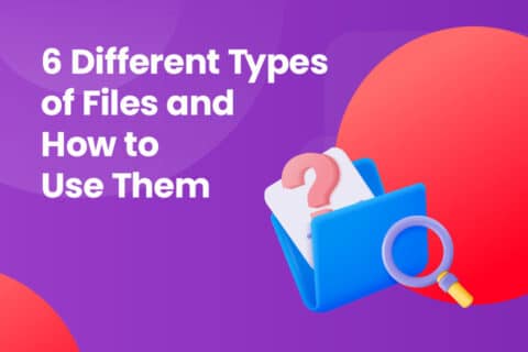 6 Different Types of Files and How to Use Them